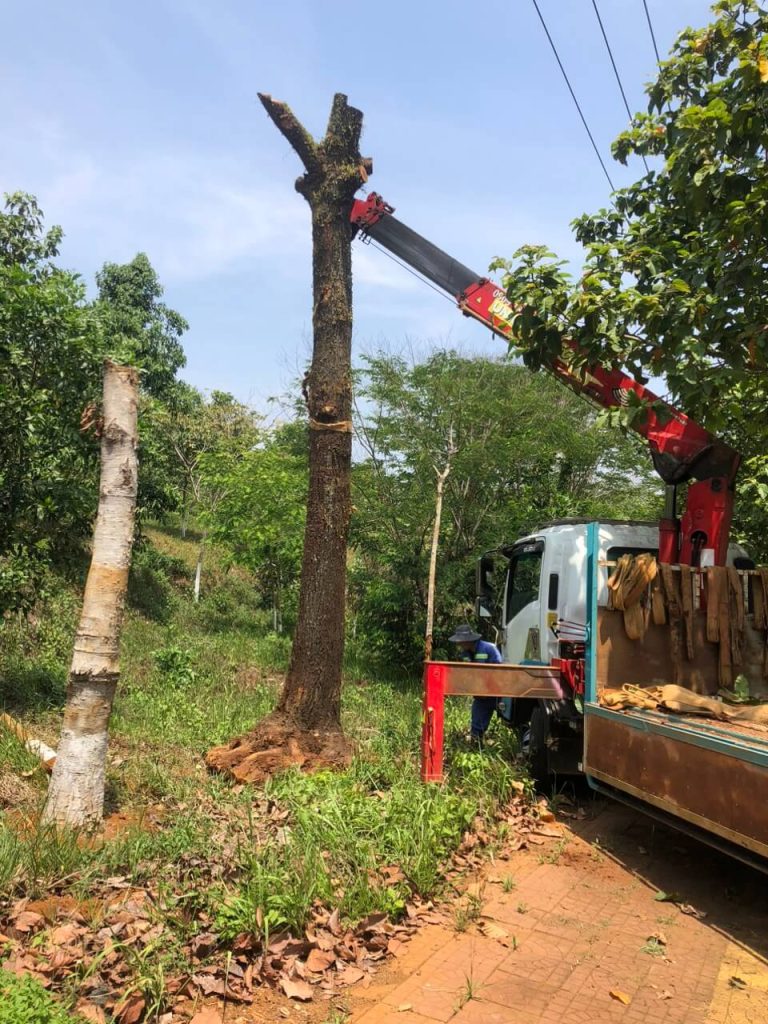 Dịch vụ xe cẩu tải tại Gia Nghĩa Dịch vụ xe cẩu tải tại Gia Nghĩa